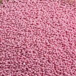 Nonpareil Sprinkles 1lb bag - Pearlized Pink