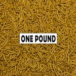 Jimmies Sprinkles 1 lb Bag - Gold #1