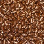 Sprinkles approx 4oz jar - Football