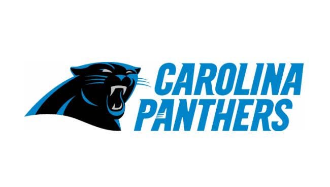 NFL Carolina Panthers™ Candy Mold – 1 Count | Official Football Mold - Image 3